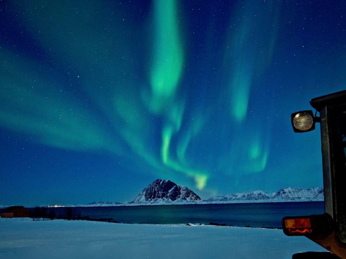 Elstad Farm Lofoten Bostad Luaran gambar