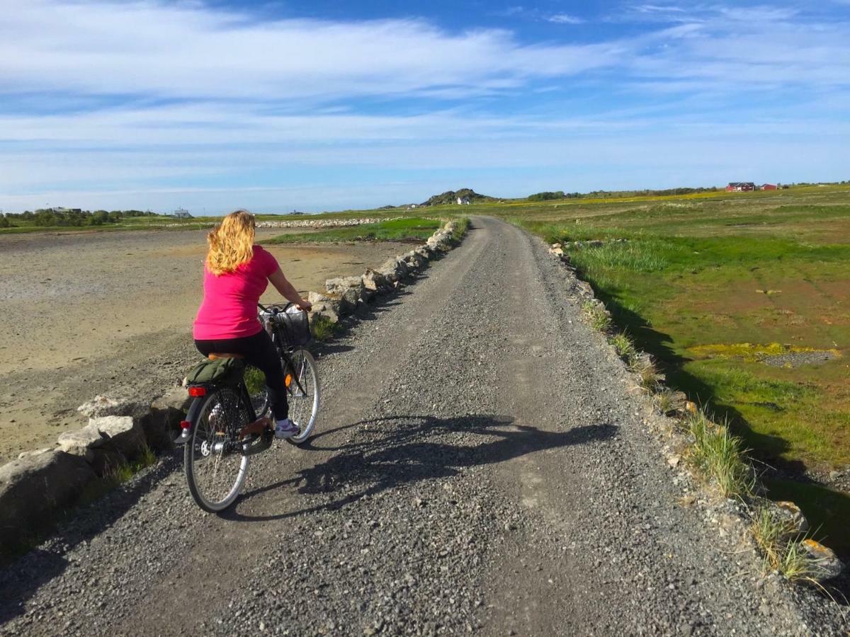 Elstad Farm Lofoten Bostad Luaran gambar