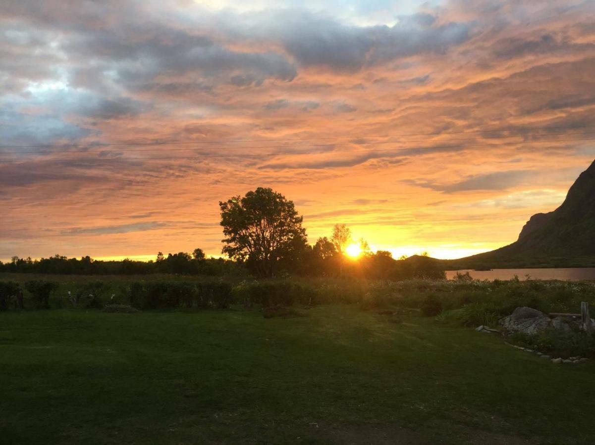 Elstad Farm Lofoten Bostad Luaran gambar